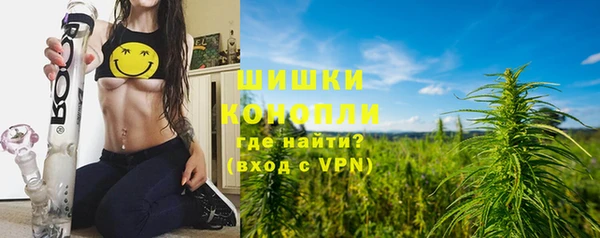 спайс Баксан