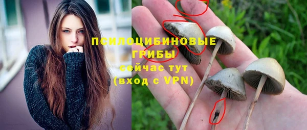 apvp Балахна